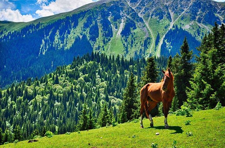 Kyrgyzstan-landscape